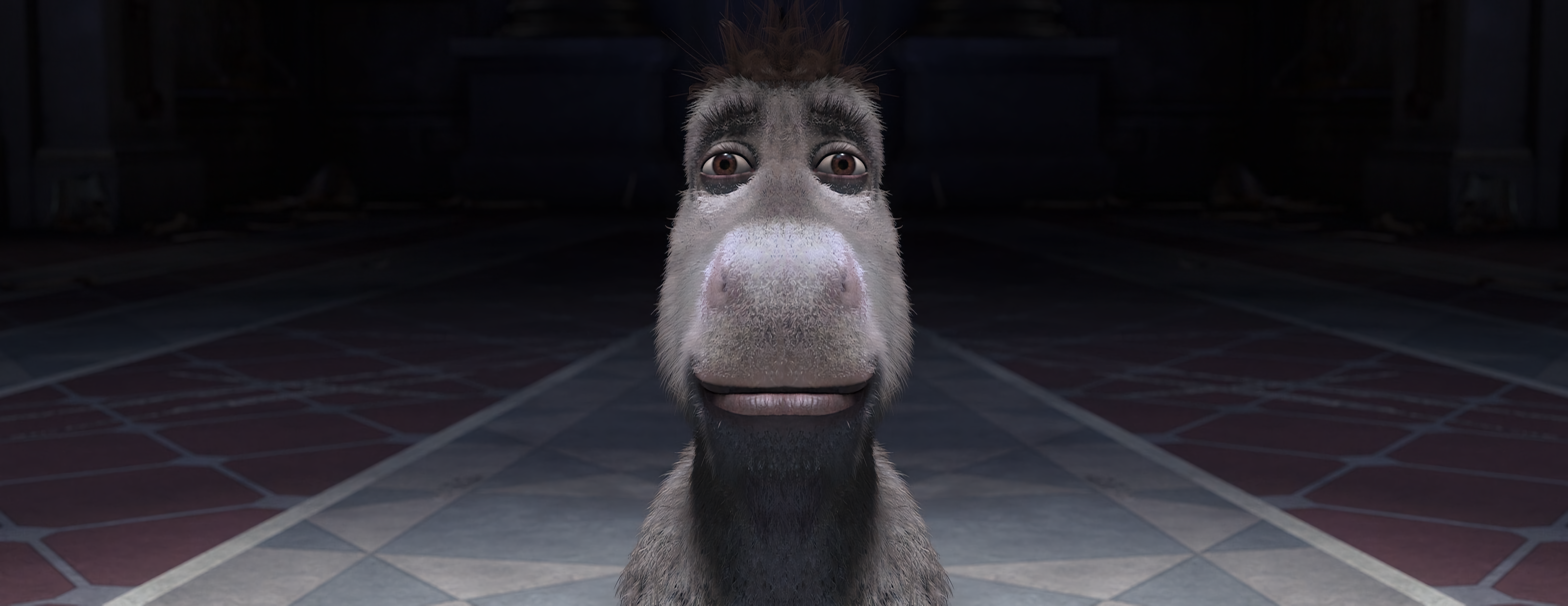 Donkey